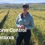 Unlocking Opportunities with Reddy Anna ID: A Complete Guide for Professionals